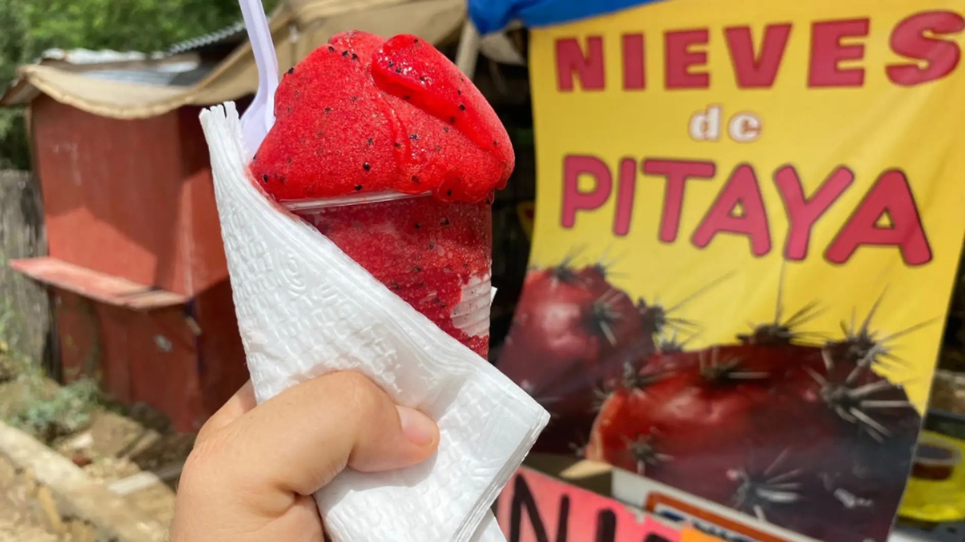 comprar nieve de pitahaya